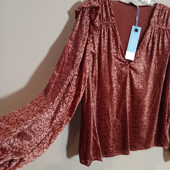 Tanya Taylor Lucy Top Textured Velvet Balloon Sleeves Blouse Rose XL New Nwt - Picture 7 of 9